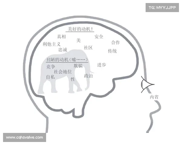 命运的抉择与黑暗游戏中的心理博弈与隐秘动机探索 命运的抉择与黑暗游戏中的心理博弈与隐秘动机探索