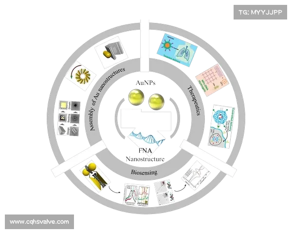 2023年下半年澳洲杯赛程与精彩活动概览