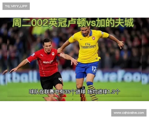 加的夫城足球队当前参加哪个联赛及其历史表现解析